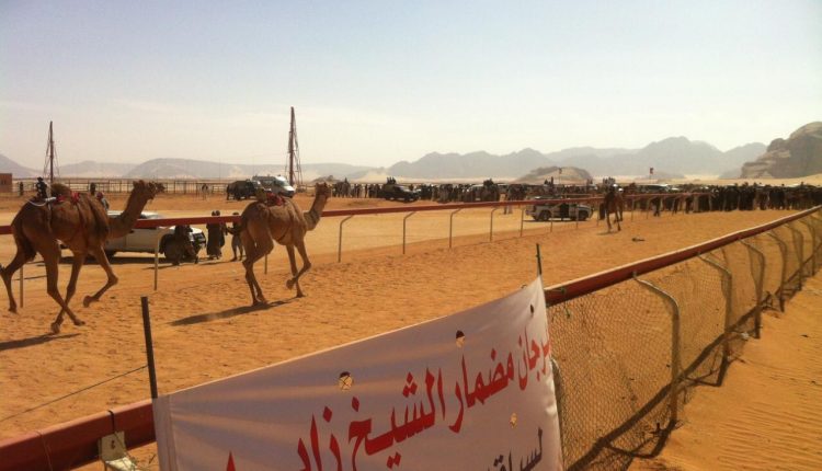 مهرجان الشيخ زايد لسباق الهجن الثاني عشر 2019 ينطلق يوم غدا الجمعة بوادي رم بالأردن