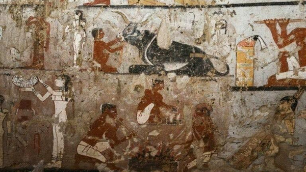 صور لمقبرة فرعونية تكشف وظيفة القرود في مصر القديمة