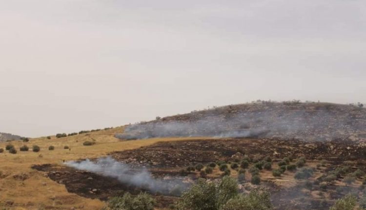 بالصور..حريق يلتهم 800دونم في بيرين بمحافظة الزرقاء