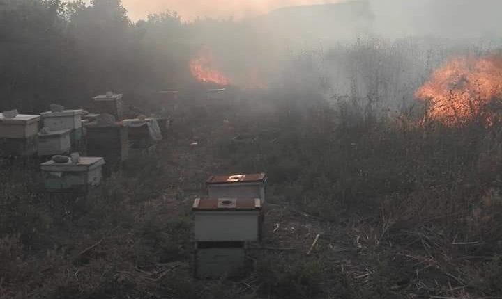 شب حريق في منطقة الباقوره زور القطاف.الاغوار الشمالية