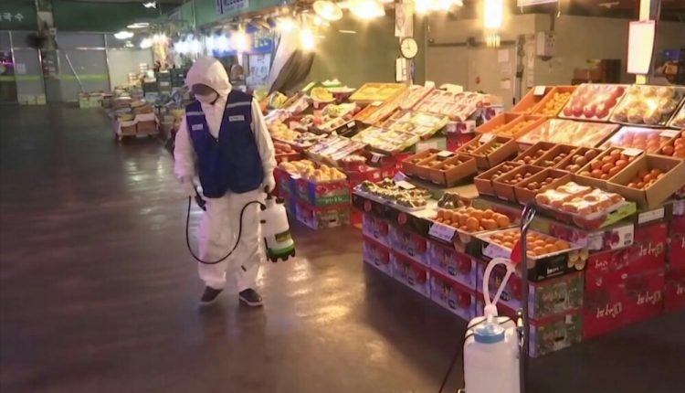 المصري: خطة لتعقيم المواد الغذائية داخل المحال التجارية باستخدام مواد آمنة
