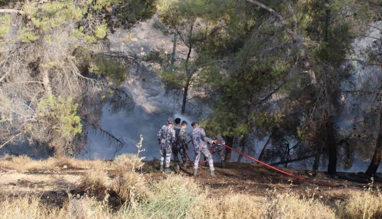 حريق كبير لمناطق حرجية في منطقة حسبان .