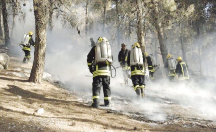 السيطرة على حريق كبير امتد إلى 1200 دونم بمحمية غابات اليرموك