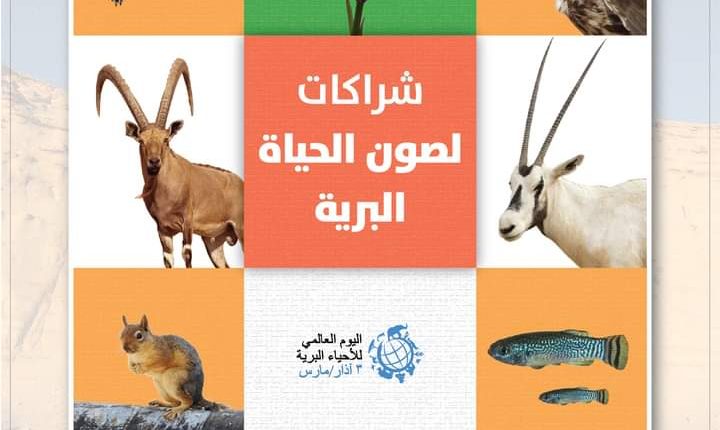 الأردن يحتفل مع العالم باليوم العالمي للأحياء البرية ،عمان – الجمعية الملكية لحماية الطبيعة
