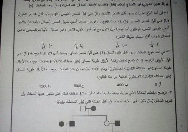 وزارة التربية.. ورقة امتحان العلوم الحياتية كاذبة وخادعة، ستلاحق مروجيها