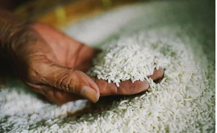 ارتفاع أسعار الأرز عالمياً لاعلى مستوى منذ 13 عاماً لهذا السبب