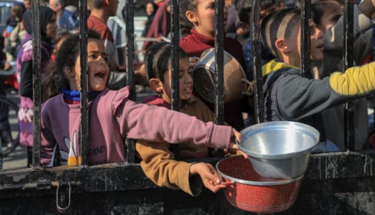 منظمة الصحة العالمية  تحذر من “حمام دم” في رفح ومن امتداد المجاعة إلى جنوبي غزة