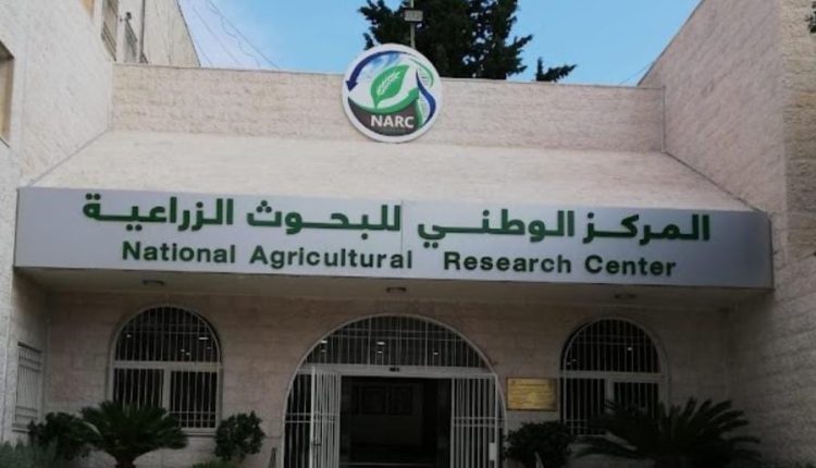 ابوحمور : تحويل ٩ قضايا لهيئة النزاهة وإعادة تقييم لأنجازات المراكز البحثية والمحطات
