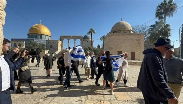 مستوطنين يقتحمون المسجد الأقصى ويؤدون طقوسًا استفزازية
