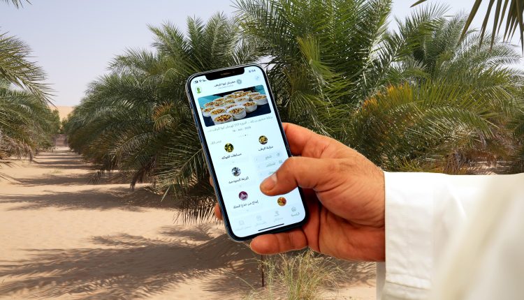 مهرجا ليوا للرطب.. التطبيق الذكي متاح أمام الراغبين بالمشاركة