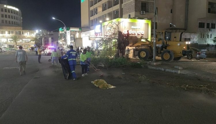سقوط شجرة معمرة على الشارع العام في العقبة