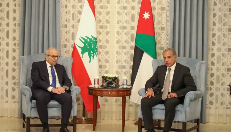 حسان : إسرائيل تتحمل وحدها المسؤولية الإنسانية والقانونية عن انهيار النظام الإغاثي في غزة
