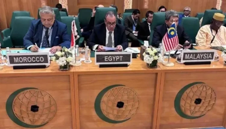 الخارجية المصرية لن نسمح بتنفيذ مشروع (إسرائيل الكبرى )