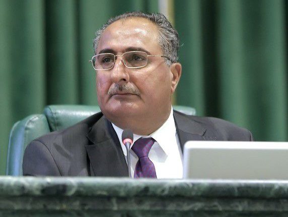 النائب الأول لرئيس مجلس النواب : قرار عودة خدمة العلم استراتيجي وطني. 