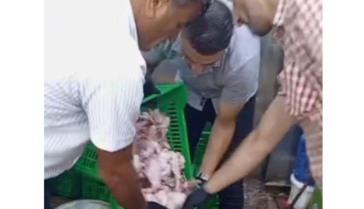 بلدية الزرقاء ضبط مركبة تحمل كمية من الدجاج مجهول المصدر