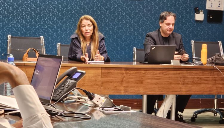 العين عبلة العماوي تتحدث عن دور الدولة في التنمية وخلق فرص العمل