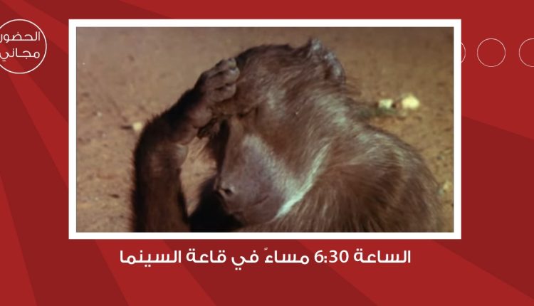 سينما “شومان” تعرض الفيلم الجنوب أفريقي “الحيوانات أناس جميلون” غدا