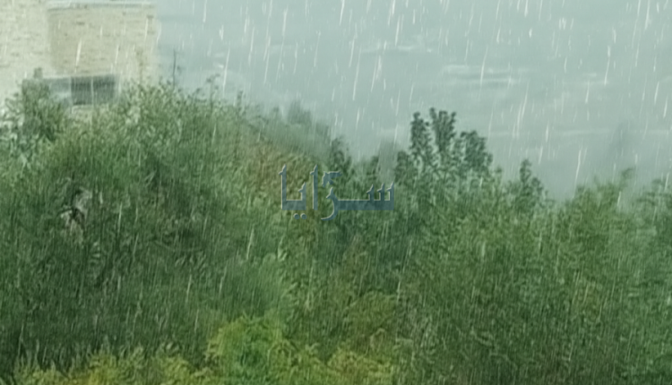 تساقط غزير للأمطار في عجلون صباح اليوم
