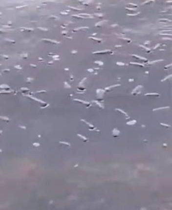 الحكومة: لا مؤشرات على وجود تلوث في سد الموجب –