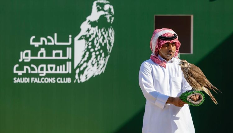 308 صقور تتنافس بأشواط الملاك في ثالث أيام كأس نادي الصقور السعودي 2025