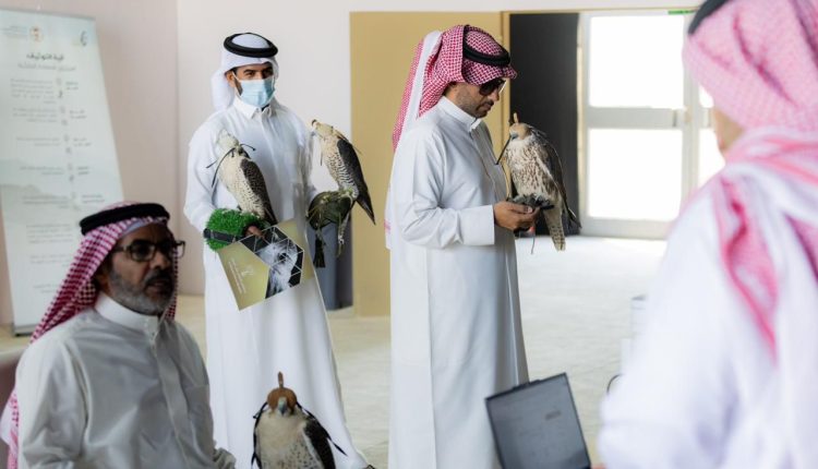 إقبال لافت على توثيق ملكية الصقور في منافسات كأس نادي الصقور 2025 بالخبر