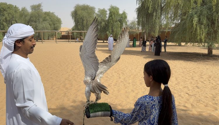 جيل جديد يبدأ بتعلّم الصقارة وفراسة الصحراء في الموسم العاشر لمدرسة محمد بن زايد