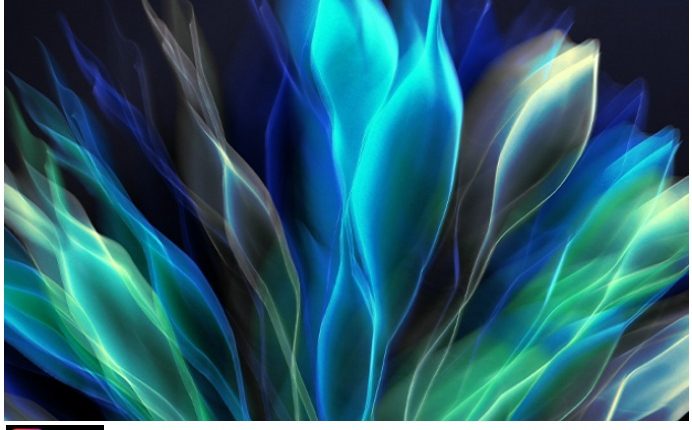 عمّان الأهلية تتصدر الجامعات الأردنية بتصنيف البحوث البَينِيّة لعام 2026