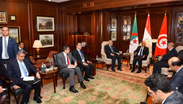 مصر ..اجتماع ثلاثي يؤكد مواصلة التنسيق لدعم استقرار ليبيا