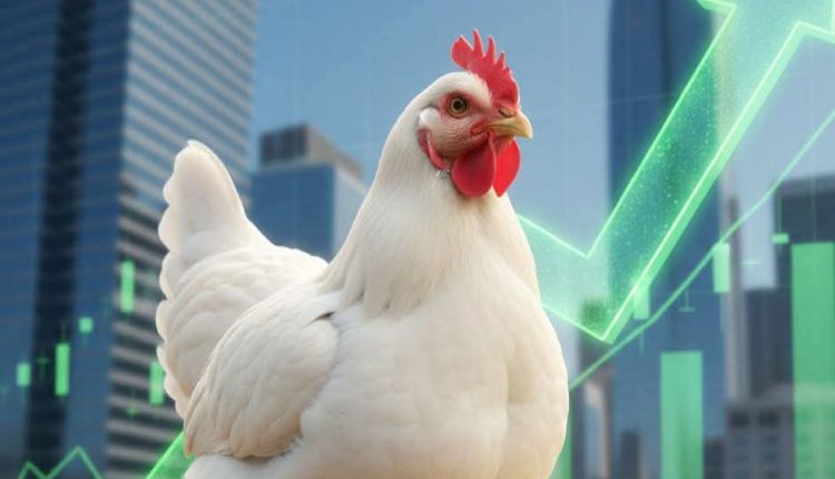 اتحاد المزارعين : تحسّن ملحوظ في الطلب على الدجاج المحلي