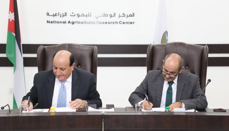 الرواشدة: بناء قدرات 90 باحثًا وفنيًا (دورات زراعية متقدمة )، و45 طالبًا من الجامعات و35 مزارعًا من الجمعيات منذ نيسان 2025