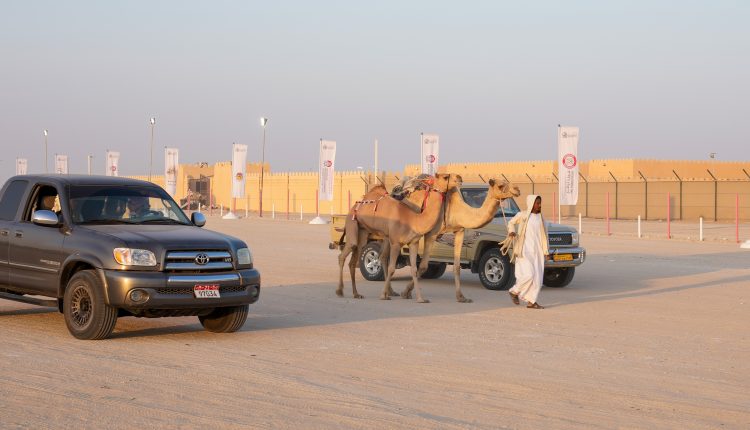انطلاق «مزاينة مدينة زايد» المحطة الثالثة في مهرجان الظفرة
