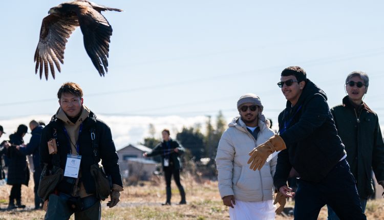 بمشاركة موسّعة… انطلاق النسخة الثالثة من  برنامج الصقارة الإماراتي–الياباني في العين