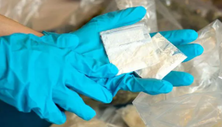 مصر… القبض على أستاذة “تجميل أردنية شهيرة”  محاولتها تهريب مخدرات باستخدام طرف صناعي