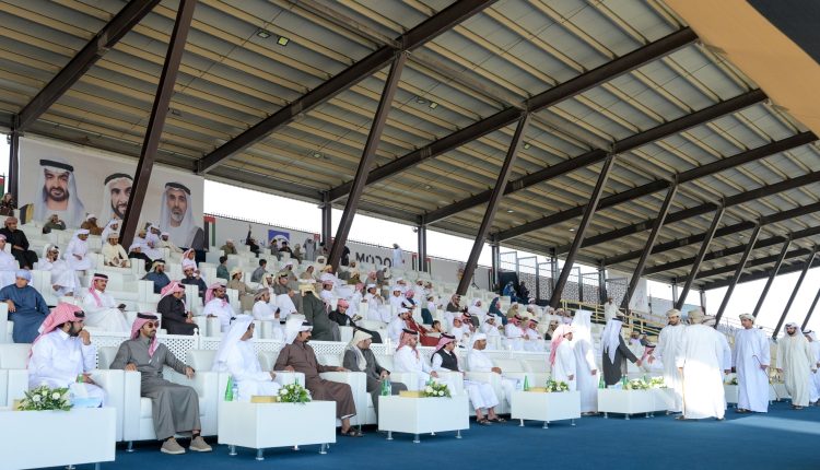 مهرجان الظفرة.. منافسات قوية في “انتاج العزبة” للإبل المحليات والمجاهيم