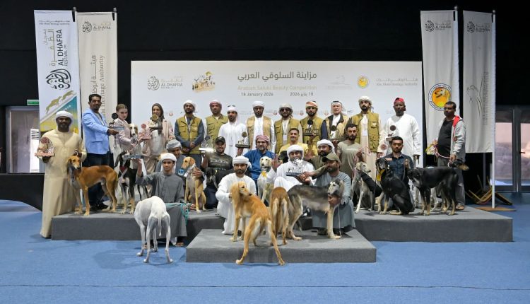 ختام مزاينة السلوقي العربي في مهرجان الظفرة وسط منافسات قوية