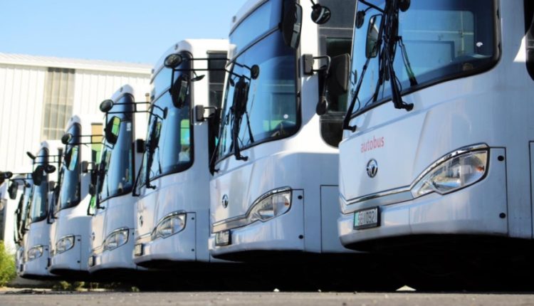 شركة المتكاملة للنقل تكشف تفاصيل مشروع حافلات الربط بين المحافظات والعاصمة