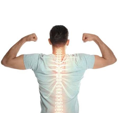 “كيف تحمي ظهرك من الجلوس الطويل؟ نصائح طبيب العظام”