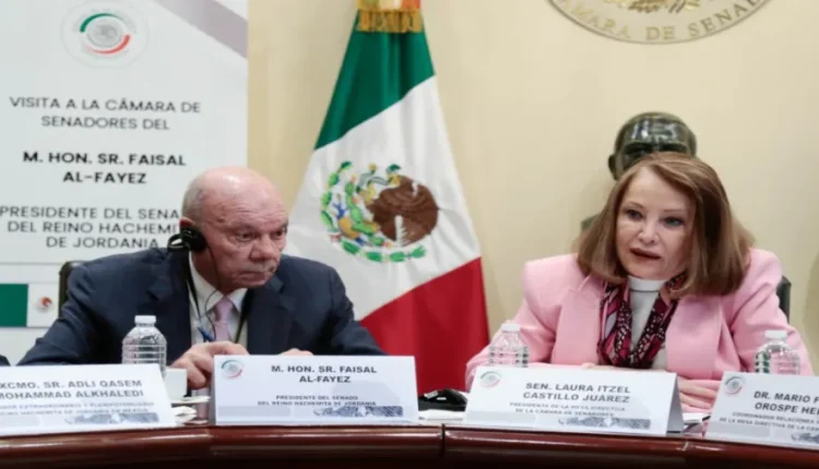 الفايز يبحث مع رئيسة مجلس الشيوخ المكسيكي سبل تعزيز العلاقات الثنائية