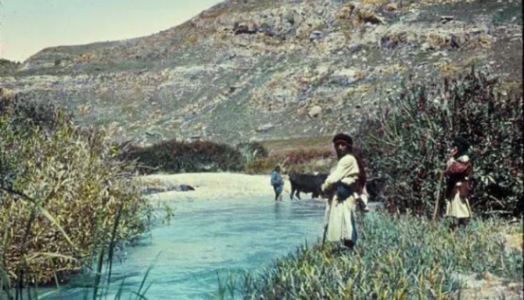 اكتشاف أثري في حوض الزرقاء يعيد رسم تاريخ الاستيطان البشري المبكر خارج أفريقيا