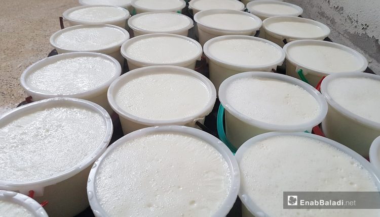 ارتفاع أسعار منتجات ألبان في السوق الأردني بنسب متفاوتة