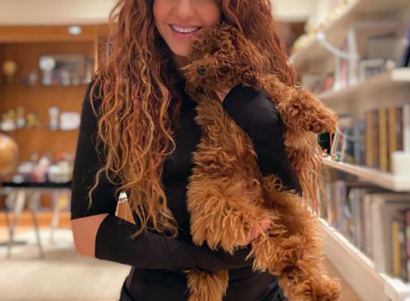 تأجيل حفل شاكيرا في العقبة إلى موعد جديد بسبب الأوضاع الإقليمية مع ضمان صلاحية التذاكر