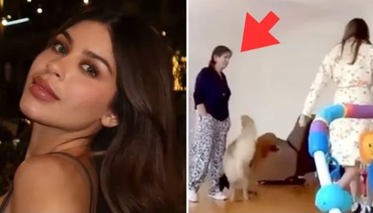 مقتل ملكة جمال سابقة في المكسيك بـ12 رصاصة… واتهام حماتها بالوقوف خلف الجريمة