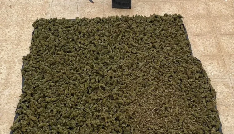 القوات المسلحة الأردنية تحبط محاولتي تهريب وتسلل عبر الحدود الغربية والشمالية