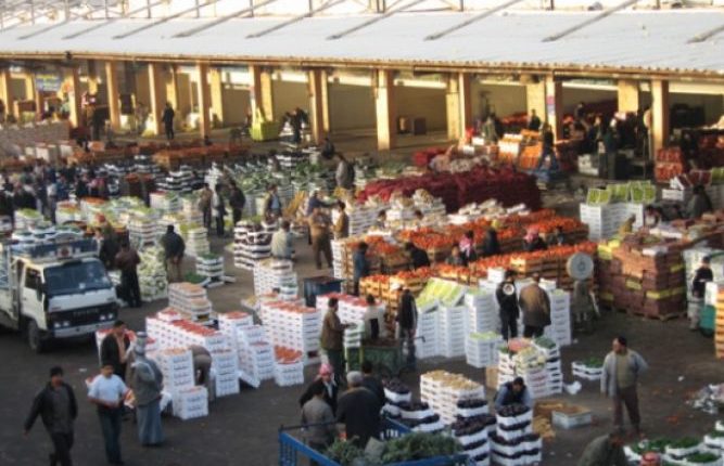 2384 طن خضار في السوق المركزي وارتفاع متفاوت بأسعار الأصناف اليوم