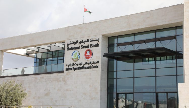 بنك البذور الوطني… ركيزة الأمن الغذائي والسيادة الزراعية في الأردن