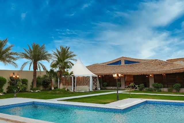 إشغال كامل لمزارع البحر الميت والأغوار مع ارتفاع الحرارة وتراجع السفر