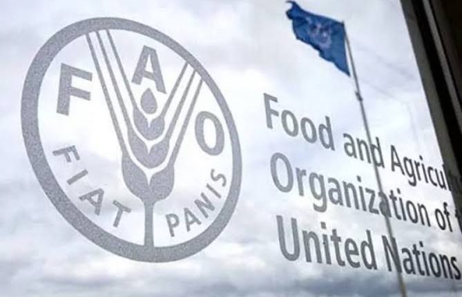 “الفاو تحذر من كارثة غذائية عالمية محتملة إذا استمرت أزمة مضيق هرمز”