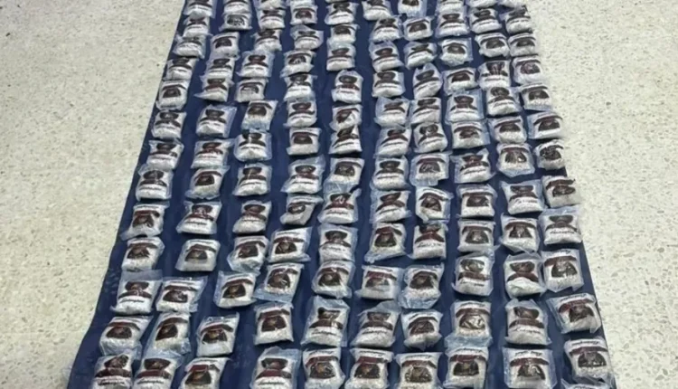 الأردن.. إحباط محاولة تهريب مخدرات بواسطة بالونات موجهة إلكترونياً على الواجهة الشرقية.