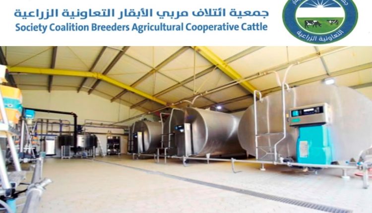 جمعية ائتلاف مربّي الأبقار: تحقيق الأردن اكتفاء ذاتيا من الحليب ومنتجاته ومعلومات غير دقيقة بـ” كتاب الزراعة ” 