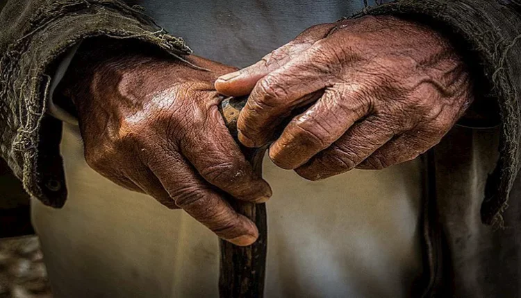 مركز الفينيق يدعو لاستحداث نظام يضمن حداً أدنى من الدخل لكبار السن غير المشمولين بالتقاعد